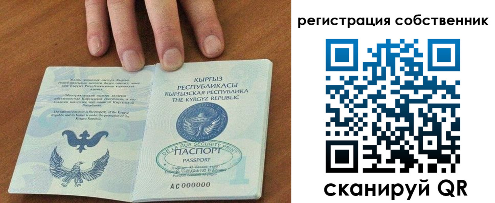 найти адрес прописки в Кургане